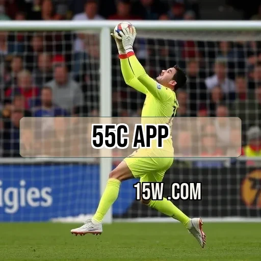 55c app - Simulação